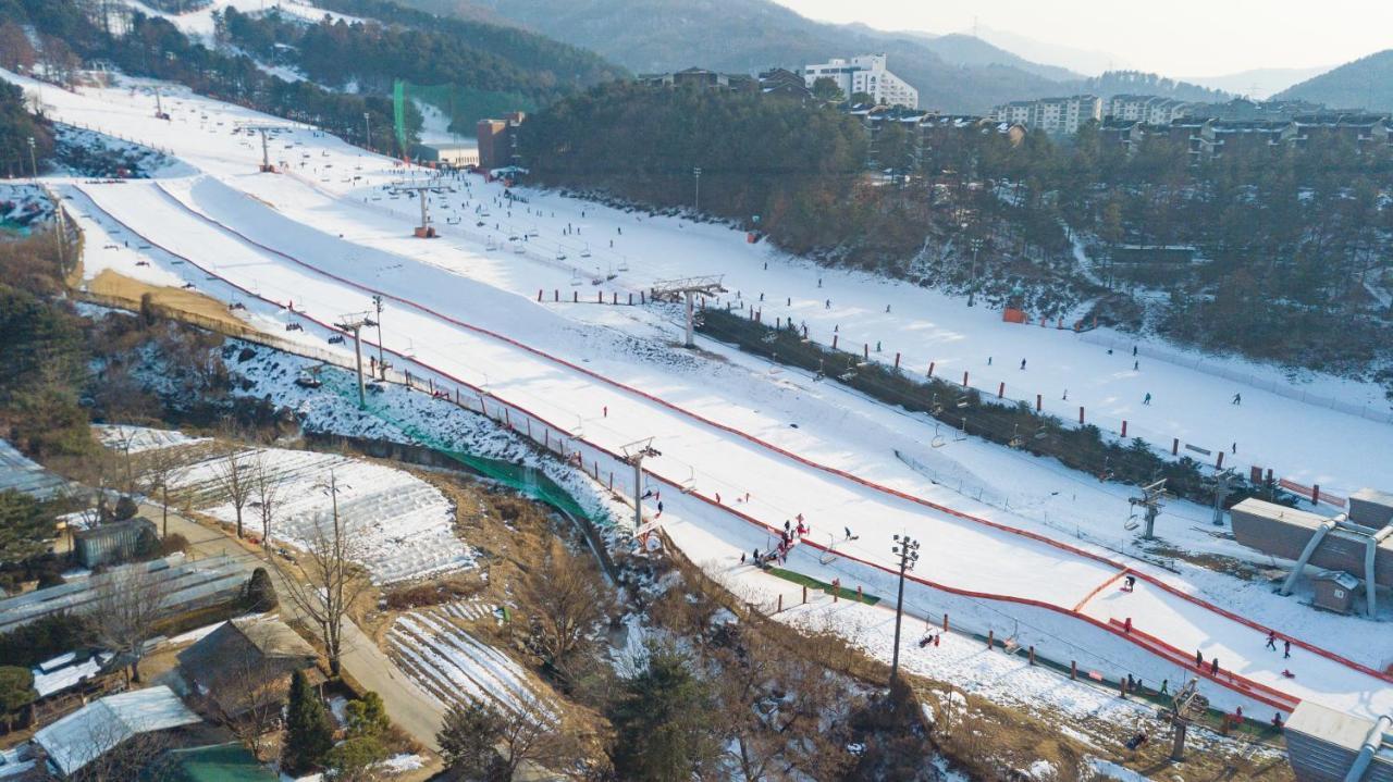 Bears Town Pocheon